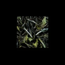 Thés Blancs|Compagnie & Co Pai Mu Tan