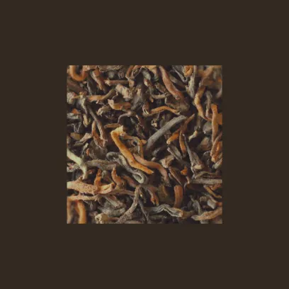 Thés Nature|Thés Noirs|Compagnie & Co Pu Erh