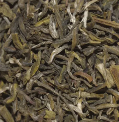 Thés Nature|Thés Verts|Compagnie & Co Yunnan Vert